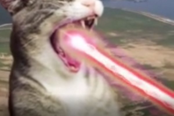 Зайти на кракен без тора